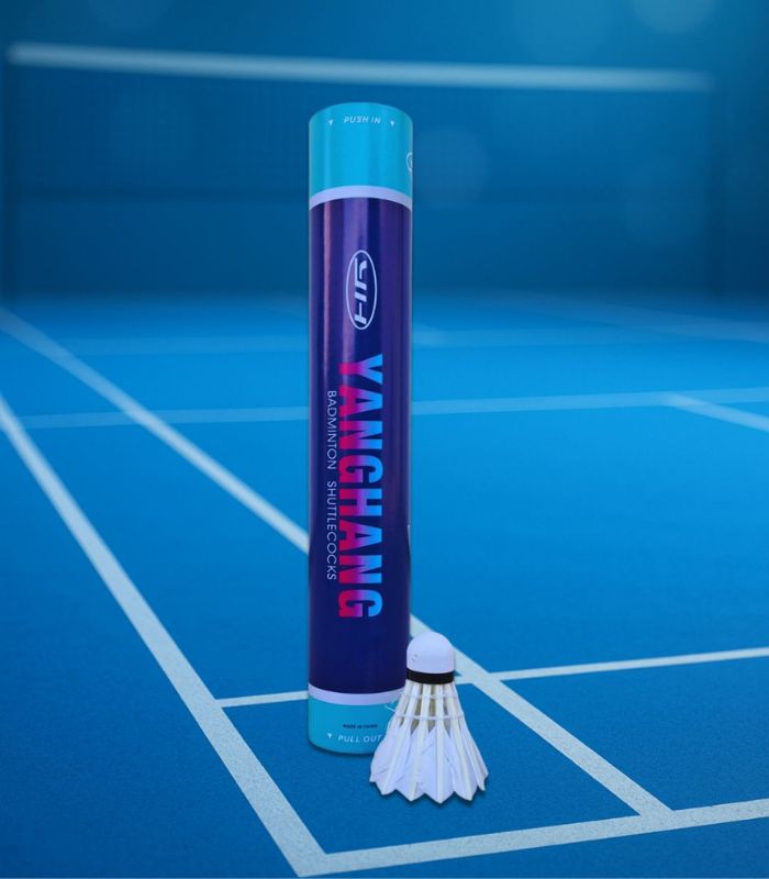 Loptice za badminton pernate 12 komada